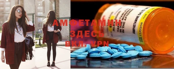 шишки Рославль