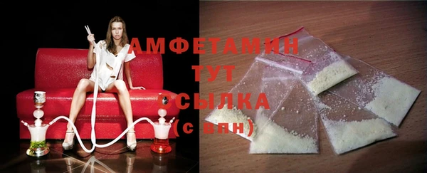 шишки Рославль