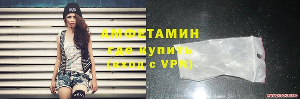 шишки Рославль