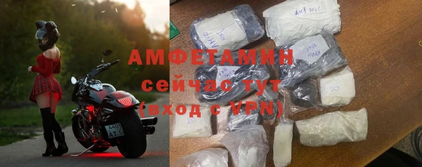 шишки Рославль