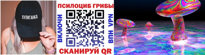 где найти наркотики  Ленинградская  Галлюциногенные грибы Psilocybine cubensis 