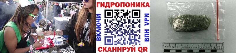 shop какой сайт  Ленинградская  Шишки марихуана THC 21% 